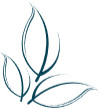 phoenix bankruptcy lawyer
